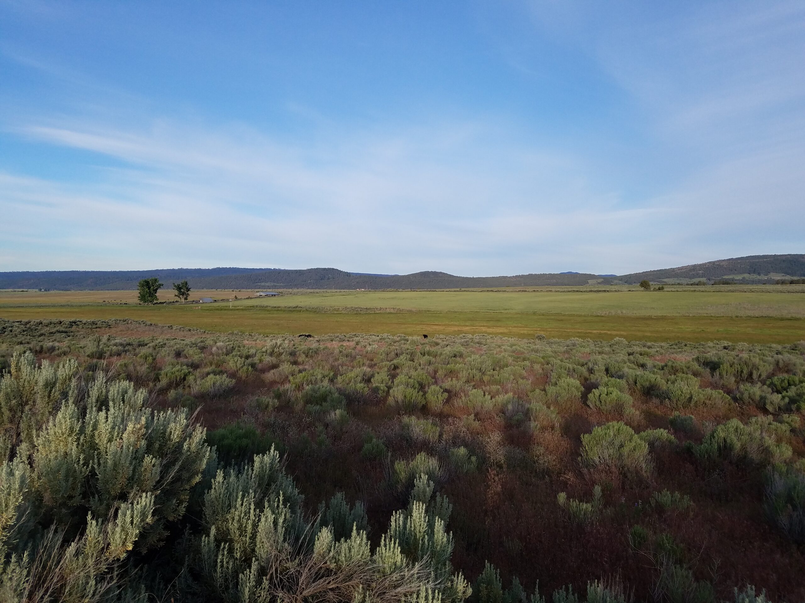 Flowing Wells Ranch in Lakeview, Oregon